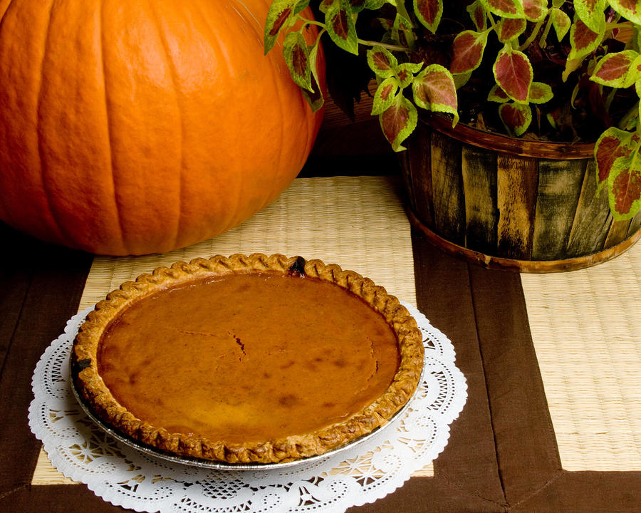 Pumpkin Pie Orchards