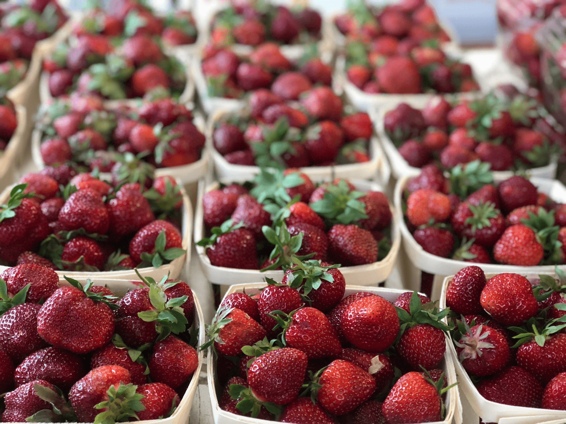 boxesofstrawberries Orchards