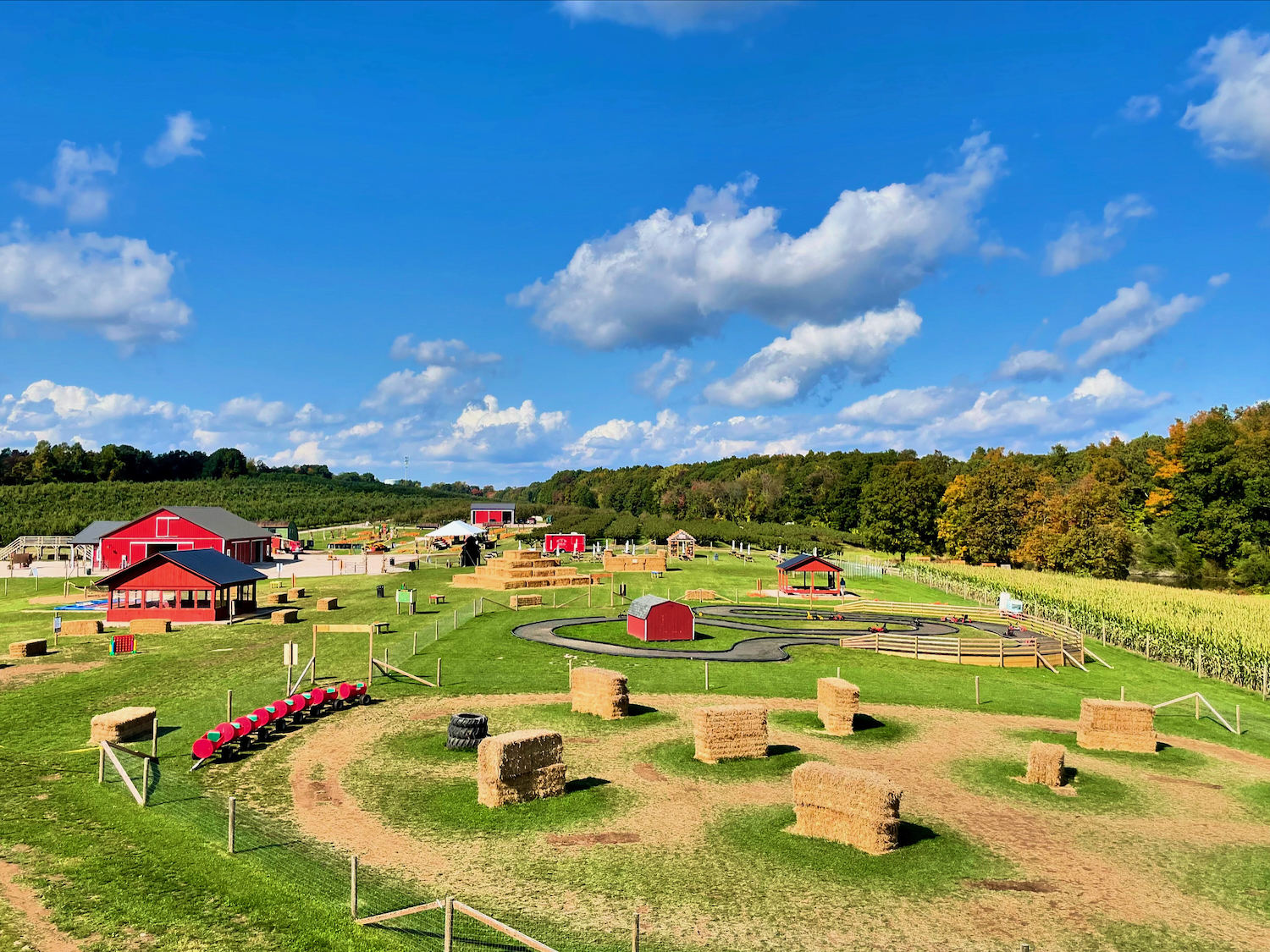 fall festival